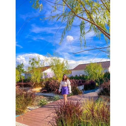 Himehome at Suanbanpaeng