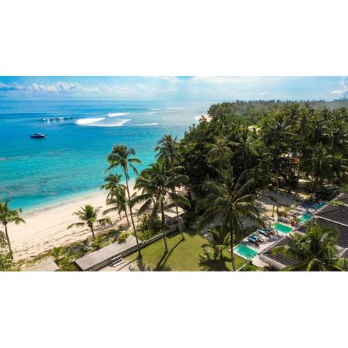 Hollow Tree's Resort