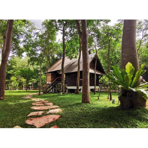 Hom Klin Paa หอมกลิ่นป่า