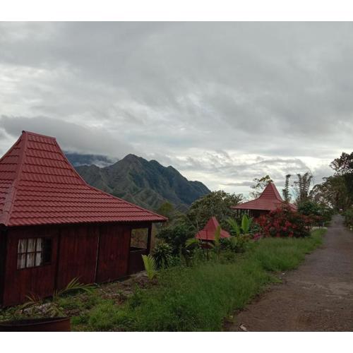 Home stay wolokoro ecotourism