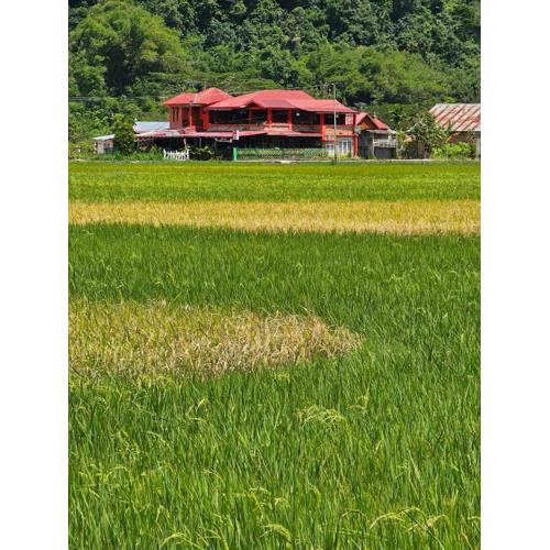 Homestay dan Cafe BungaSonsang