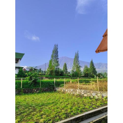 Homestay Hidayah Sembalun