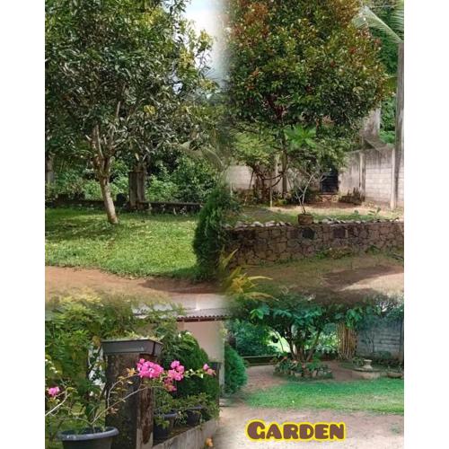 Homestay in Naturals Village