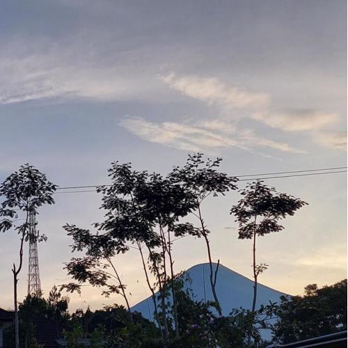 Homestay Ngaso Dalem