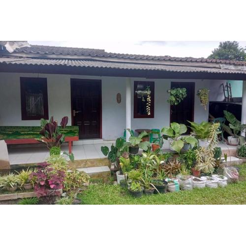 Homestay Wijaya Mulya