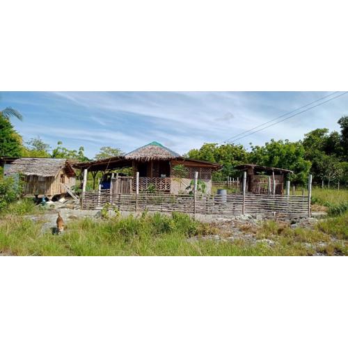 Homestead Farm Payag/Bahay Kubo