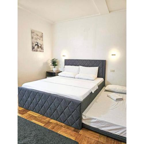 Homey & spacious with private plunge pool ktv near SMtela