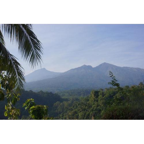 Horizon Senaru Villa