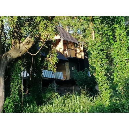 hornbill river cottage udawalwa