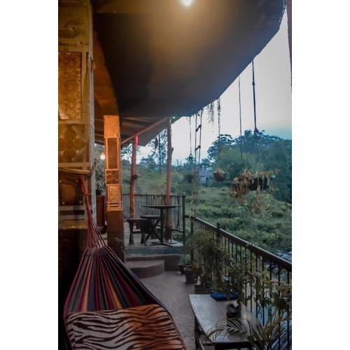 Hostal Tree House