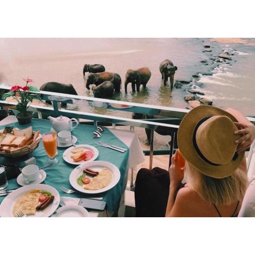 Hotel Elephant Park - NEW DEAL! Exclusive Offers on Pickups Available!