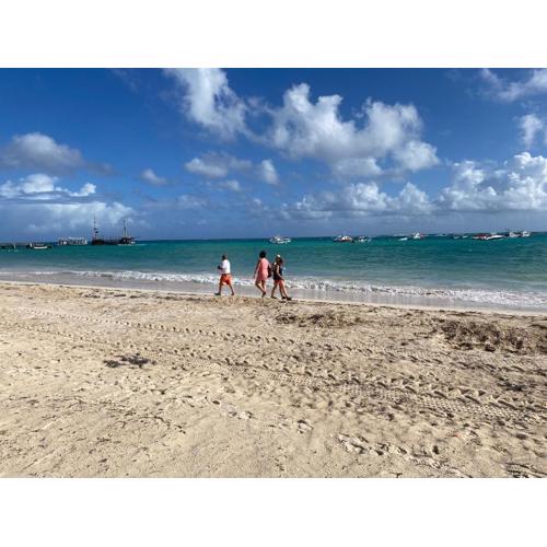 Hotel Las Rosas de Punta Cana