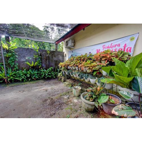 Hotel O Inn Homestay