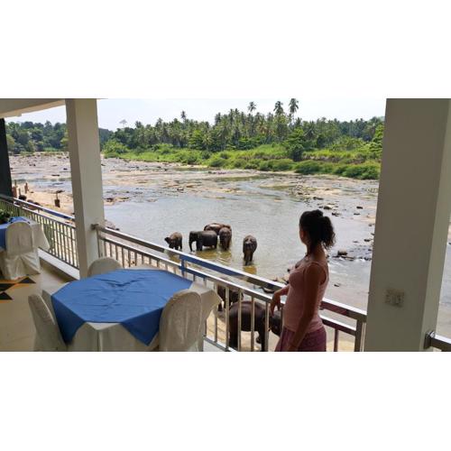 Hotel Pinnalanda - NEW DEAL! Exclusive Offers on Pickups Available!