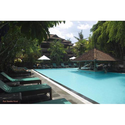 Hotel Puri Bambu