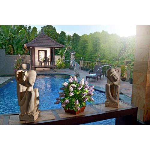 Hotel Puri Nusa Indah