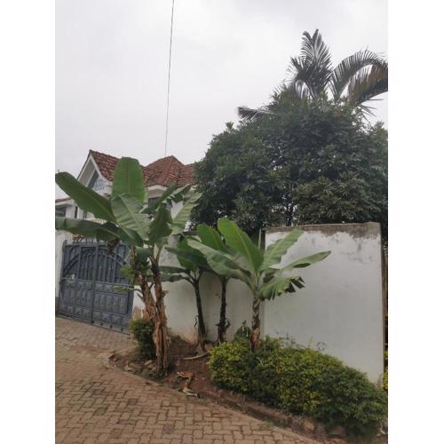 House 21,Cedar Groove