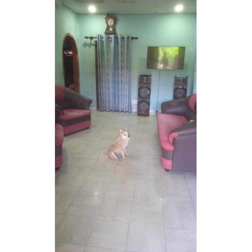 House for rent Ahangama