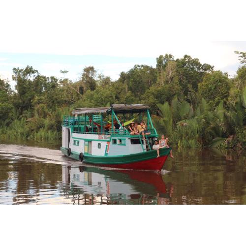houseboat kelotok bee