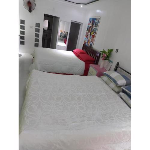 Huge apartment transient