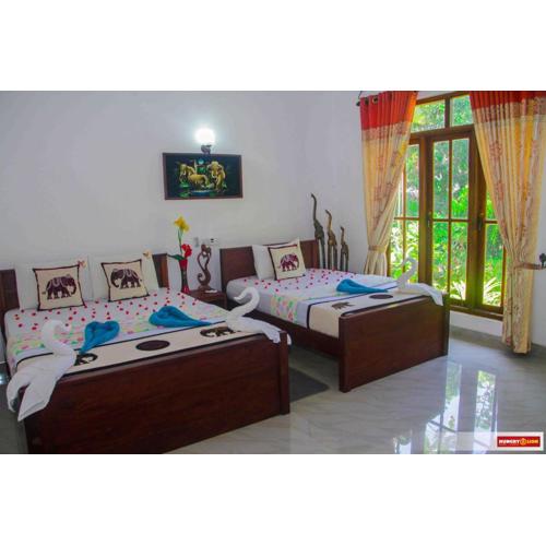 Hungry Lion Sigiriya