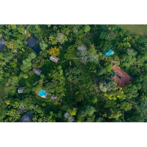 Ilukketiya Tea Chalets