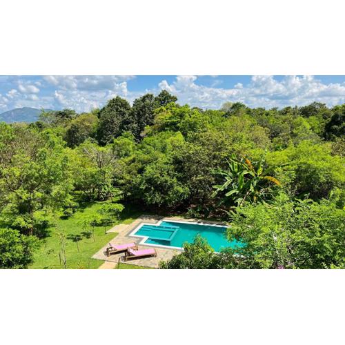 Into The Wild Sigiriya