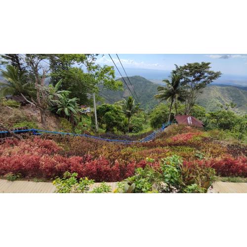 Island Skyview Resort - JVR by Hiverooms