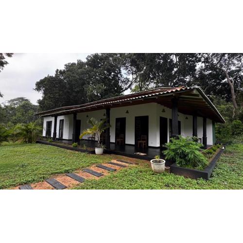 Island vibes by the Rock