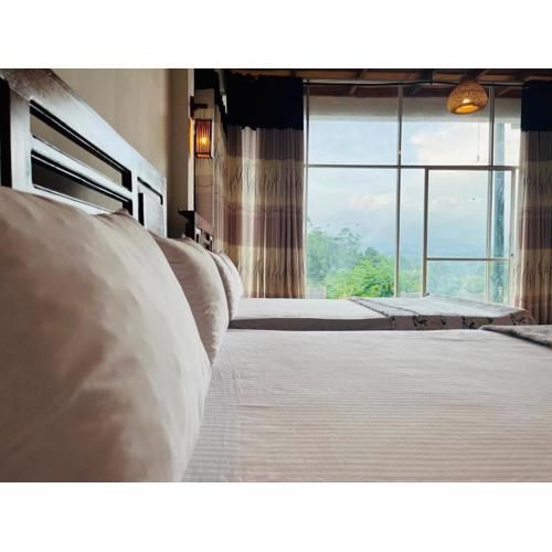 Jack Shade Resort Ella