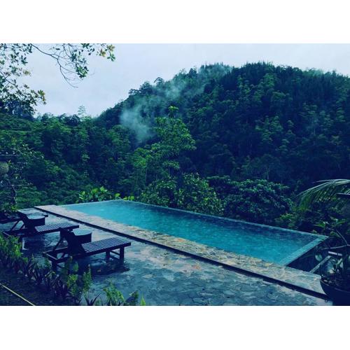 Jansen’s Bungalow Sinharaja Rainforest Retreat