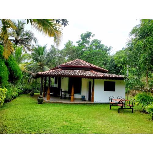 jargoon paradise -private space