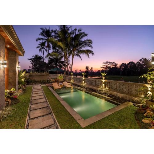 Jasmine Serenity Sunset #1