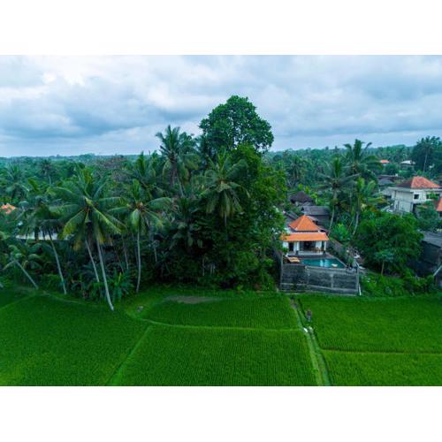 Jatining Ubud Villa 2