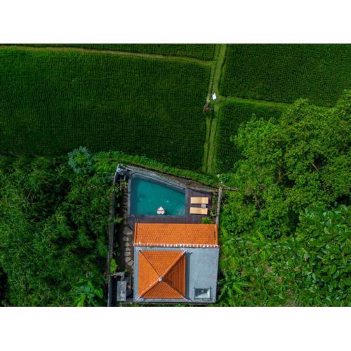 Jatining Ubud Villa & Spa