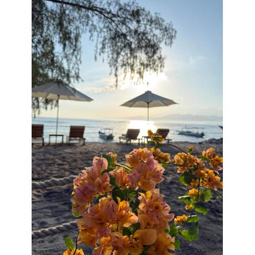 Jaya Beach Bungalows