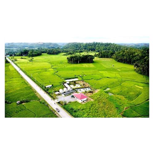 Jazz Ferme Inn Batuan Bohol