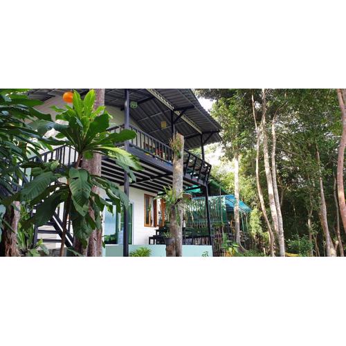 Jeroen's Jungle View