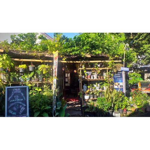 Jimmy and Jeng Homestay