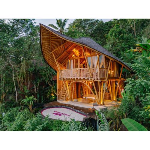 Jiva Bali - Green Dream