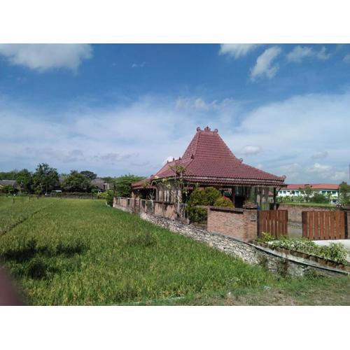 JOGLOPARI GuestHouse bukan untuk pasangan non pasutri