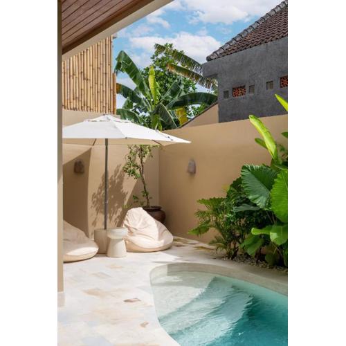 Juli Villa's - tropical luxurious 130m2 with pool in Canggu - Pererenan