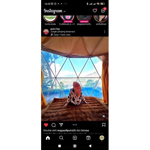 Jungle camping kintamani