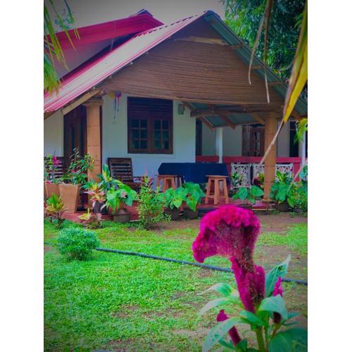 Jungle Eco Lodge & Safari