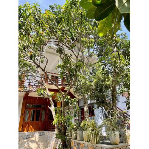 Jungle Escape Hiriketiya