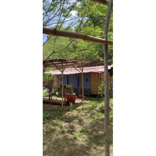 Jungle Glamping Tent Two