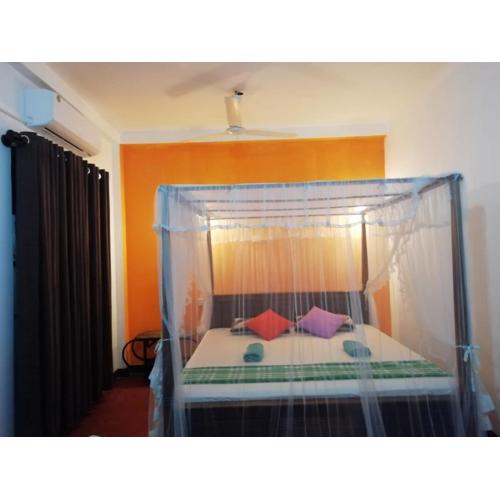 Jungle guest ,Mirissa