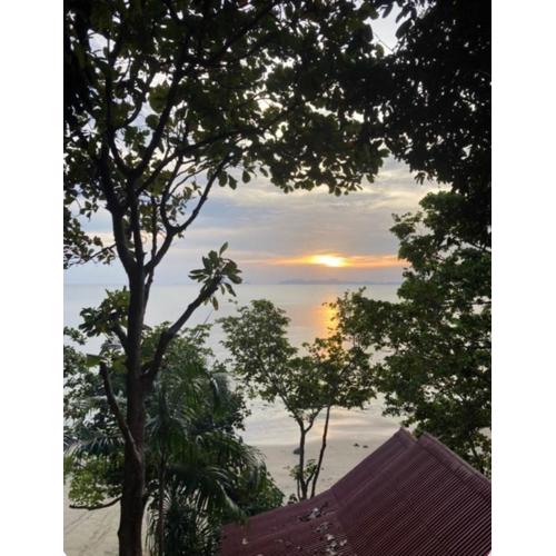 Jungle Hill Beach Bungalow