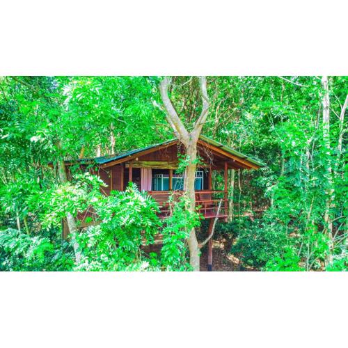 Jungle Host Hostel And Tree House