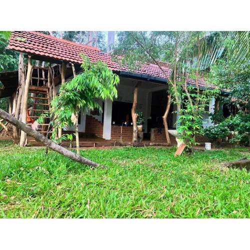 JUNGLE HOSTEL Habarana